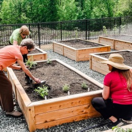 people working in a garden