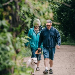 a couple walking with a dog
