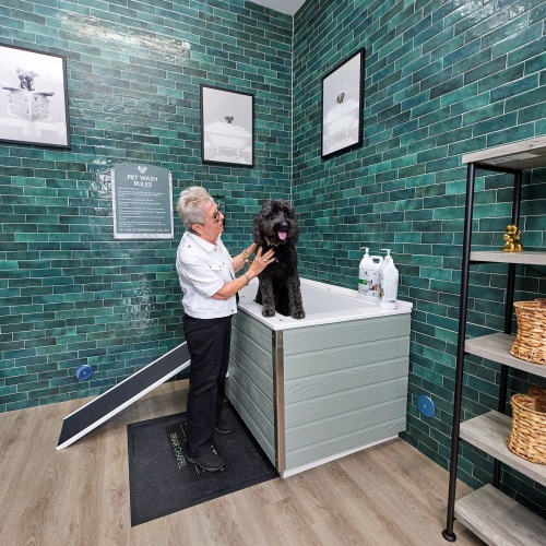 a resident with her dog in the pet spa
