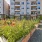 resident garden with plants